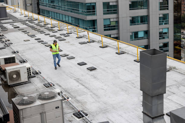 Best Roof Moss and Algae Removal  in Meadows Place, TX