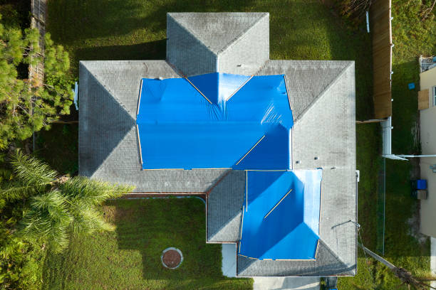 Best Roof Insulation Installation  in Meadows Place, TX