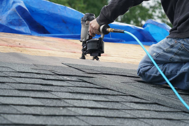 Best Roof Ventilation Installation  in Meadows Place, TX